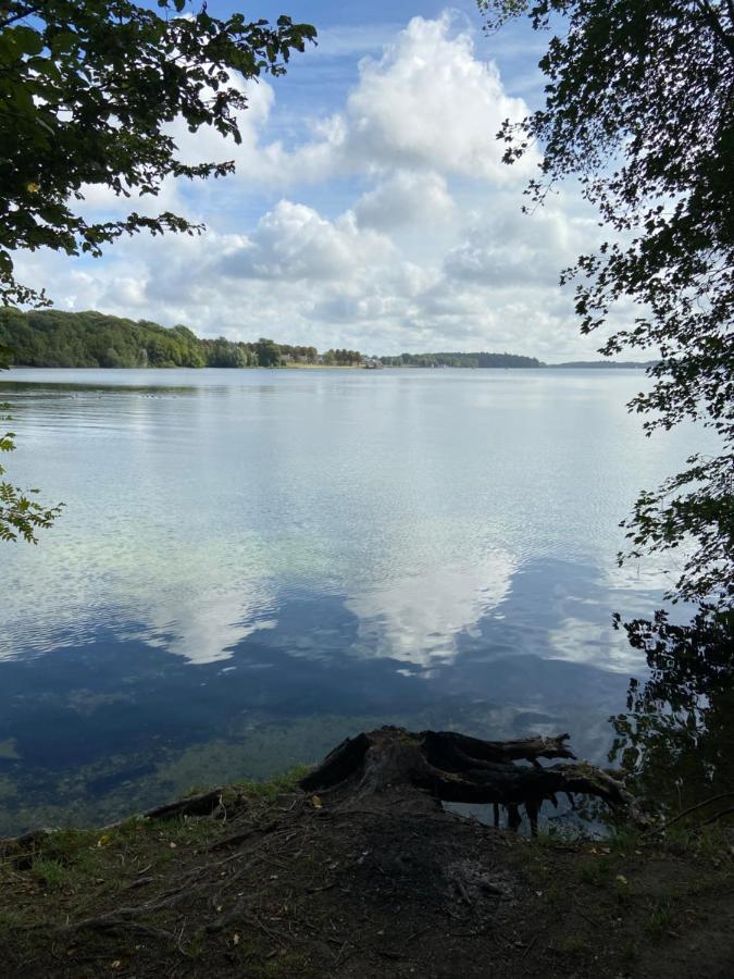 Les Pieds Dans L Eau Apartment Erpion Bagian luar foto